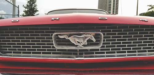 symbol red Ford Mustang trademark