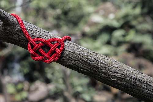 heart red rope on three branch wedding
