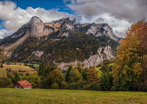 jaun white and orange house near green leafed tree switzerland