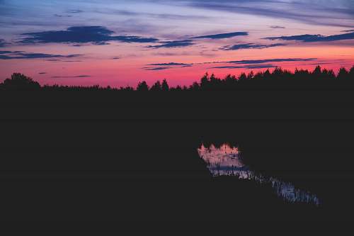 sunset photo of trees during night time river