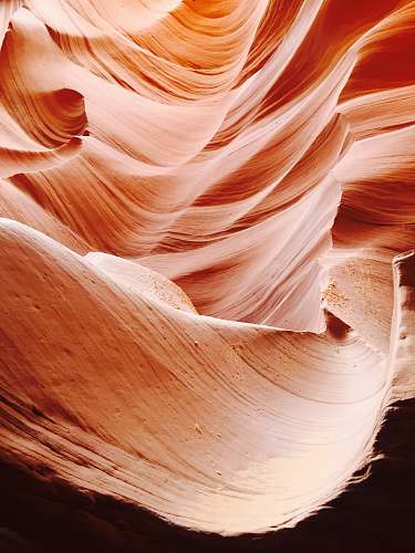 abstract photography of Cantilope, Arizona garlic