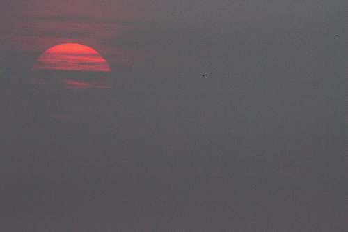 sky red full moon view outdoors