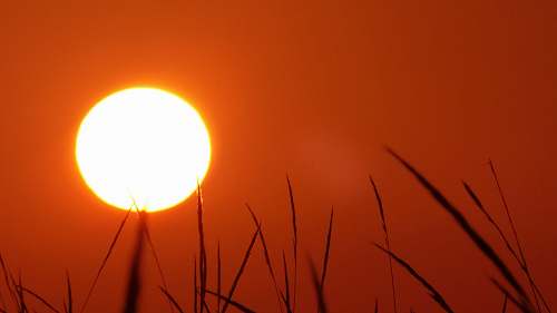 sky yellow sun outdoors
