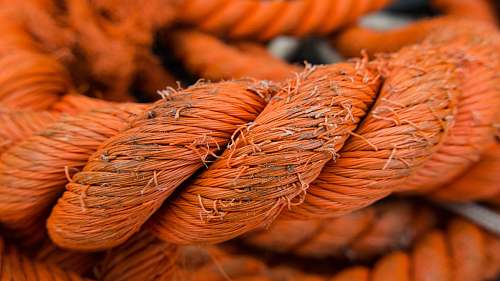 rope selective focus photo of orange rope red