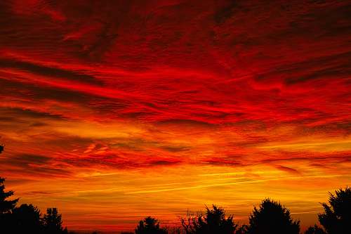 nature  dawn
