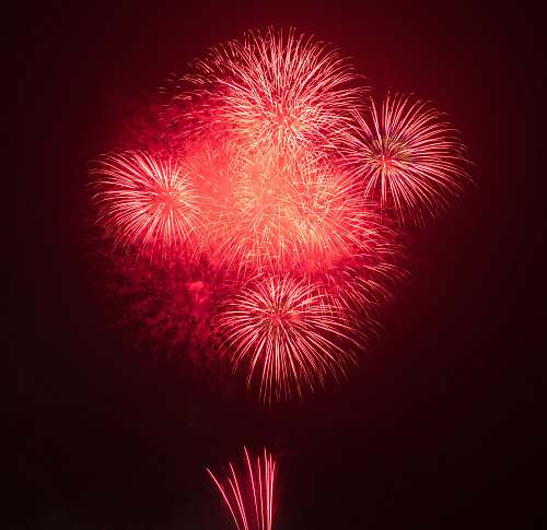night red fireworks at night fireworks