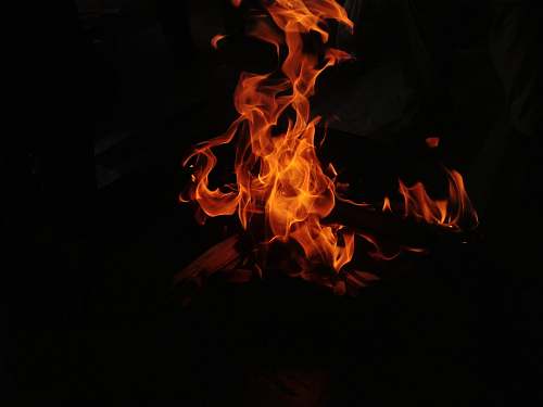 human shallow photography of wood burning fire
