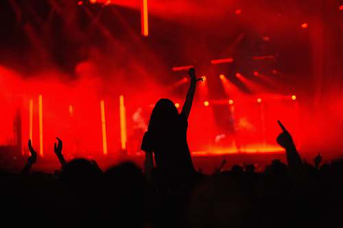 human silhouette photography of people in party crowd