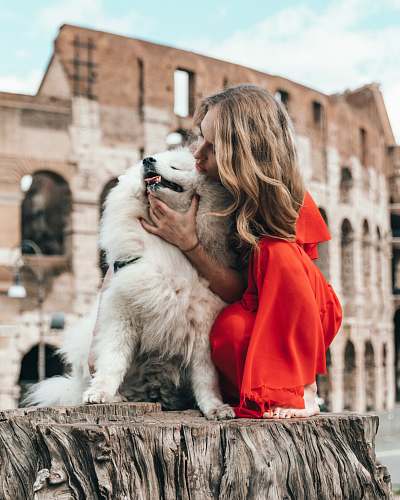 human woman petting dog dog
