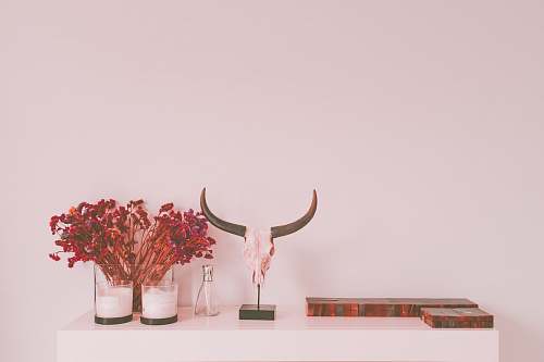 background animal skull table decor interior