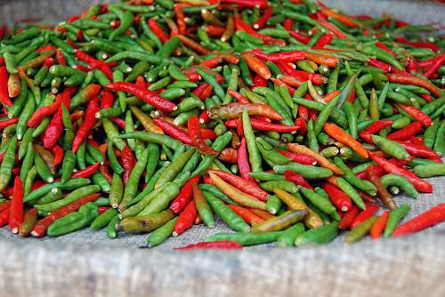 pepper close-up photography of green and red chili food