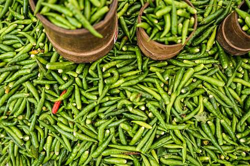 vegetable green chilly produce