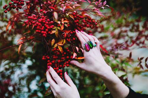 produce person holding red berries grapes