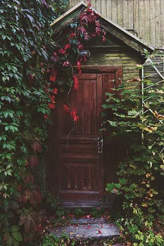 house photo f brown wooden door with red and green leaf plants door