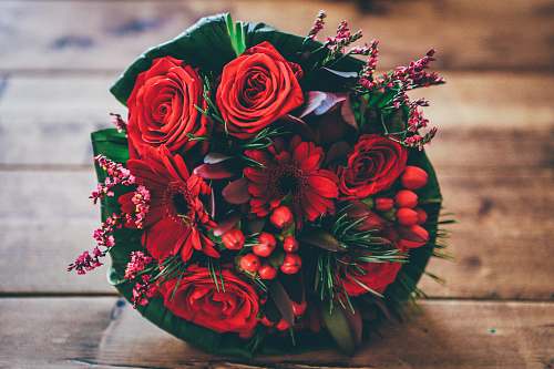 flower red flower bouquet on brown surface rose