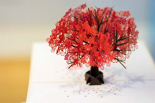tree red flowers on white surface paper