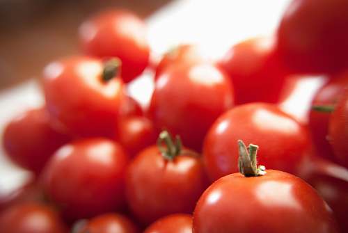 vegetable shallow focus photography of tomatoes tomato