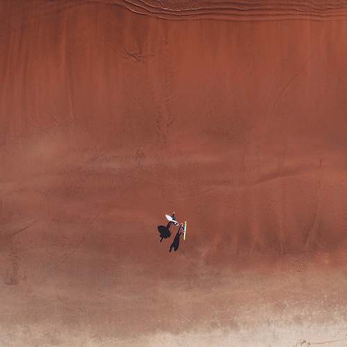 ardeidae aerial photo of two person in desert bird