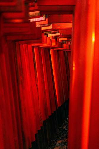 curtain  