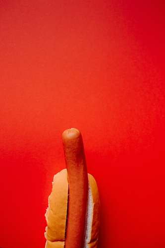 hotdog hotdog sandwich on red background roll