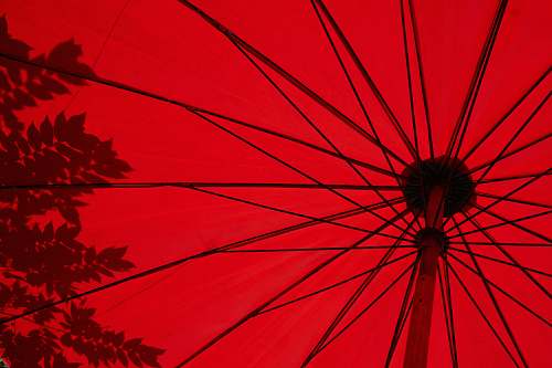 umbrella low angle photo of red umbrella canopy