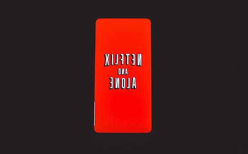 text Netfix and Alone logo word