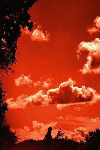 nature orange sky outdoors