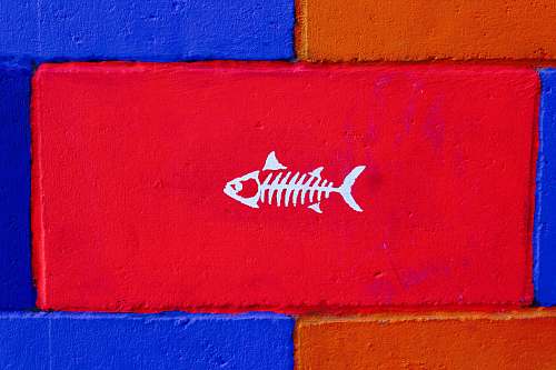 gulfport photo of white fish painted brick united states