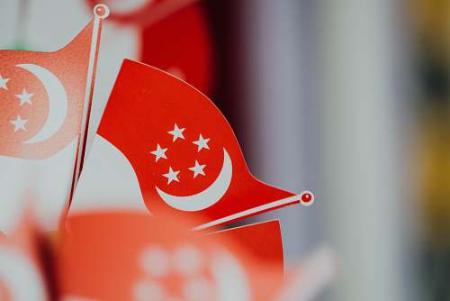 flag selective focus photography of flaglet of Turkey logo