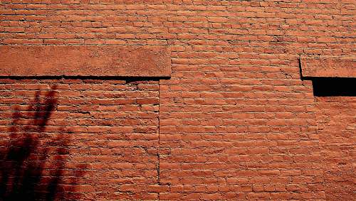 brick selective photograph of brick wall wall