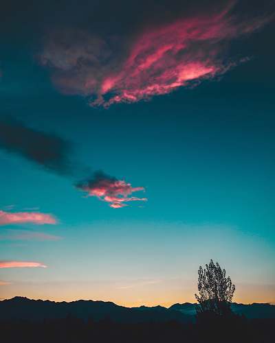 sunset silhouette of tree under sunset sunrise