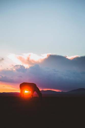 sunset silhouette of horse under sunset sky