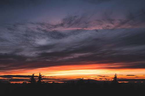 sunset sunset silhouette photo of trees under cloudy skies nature