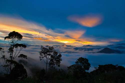 sunrise fog covered forest at sunrise ecuador