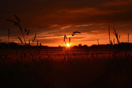 sky sunset view on farm field borgentreich