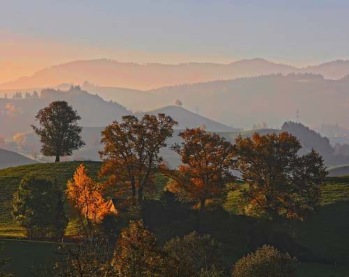 sunrise trees on top of mountain sky