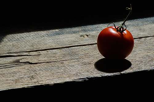 flora red tomato on brown wooden table food
