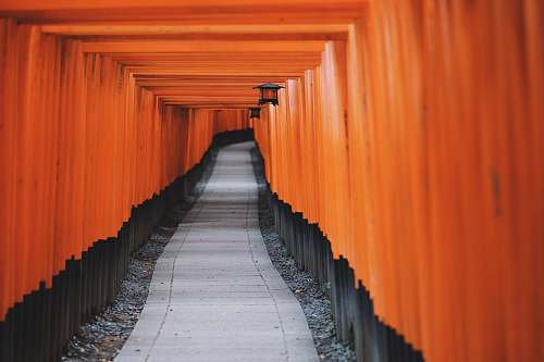 japan Tori gates gate