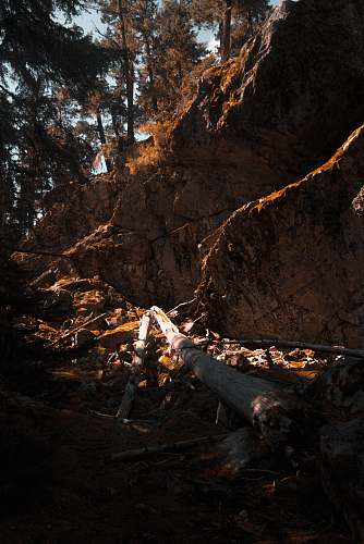 nature mountain ahead forest