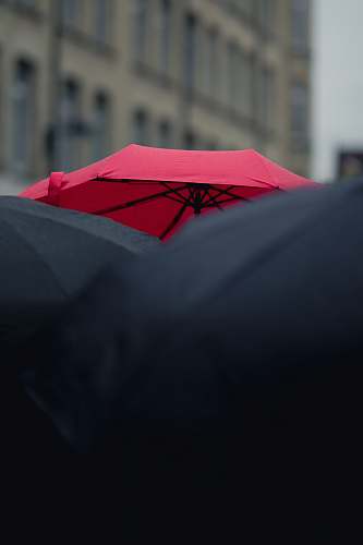 cambridge closeup photography of black and red umbrellas united kingdom