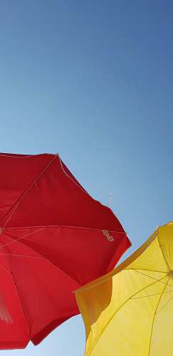canopy low angle photography of red umbrella viale europa