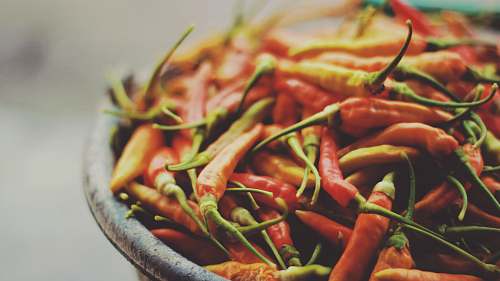 food macro photography of red jalapenos chilli