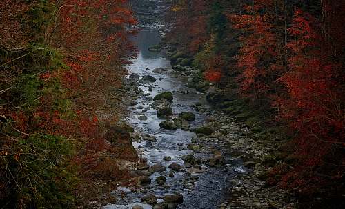 nature  outdoors