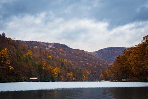 lake landscape photo of trees near body of water forest