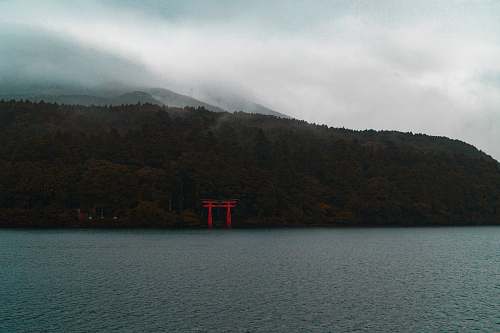 lake tree island near body of water tradition