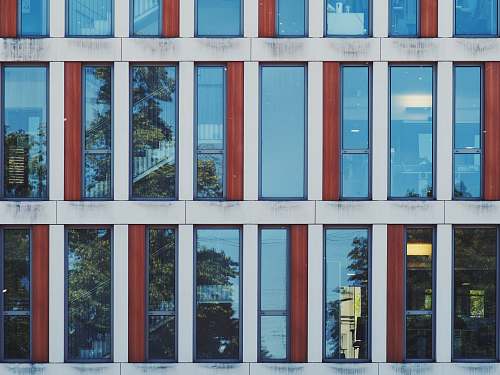 cologne white and red building germany