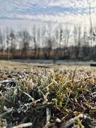 nature green grass field during daytime outdoors