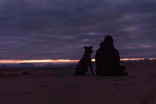 human man and dog sitting on sand during sunset person