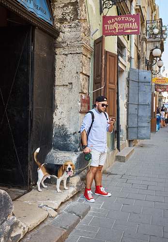 beagle man beside beagle near building structure dog