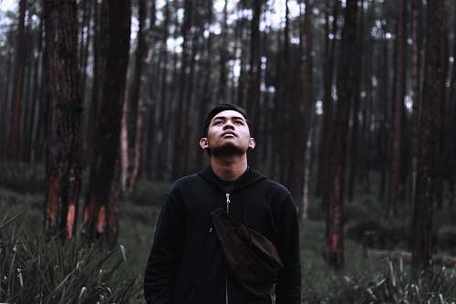 person man looking up near trees during daytime human